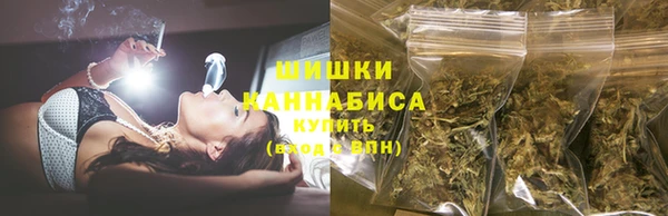первитин Богданович